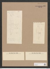 Navicula sp. (de-Toni-Nr.: Genus 1) Zeichnungen Sammlung Grunow Nr. 1361 (NHMW-BOT-W0368309)
